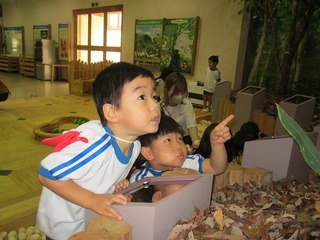 IMG_2352.jpg