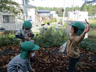 IMG_2746.jpg