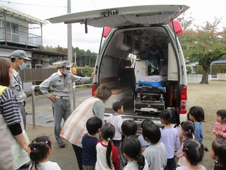 IMG_2962.jpg