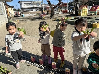 IMG_3708.jpg