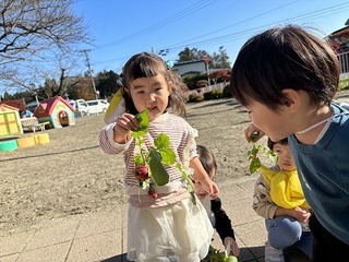IMG_3714.jpg