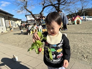 IMG_3722.jpg