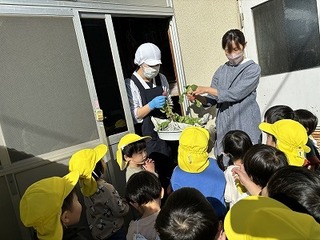 IMG_3738.jpg