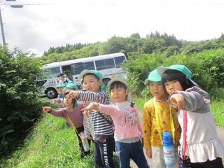 IMG_3741.jpg