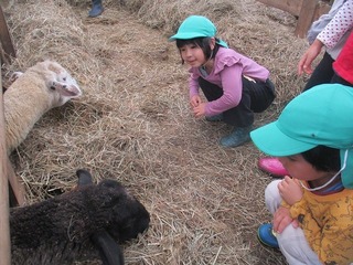 IMG_3759.jpg