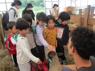 IMG_3762.jpg