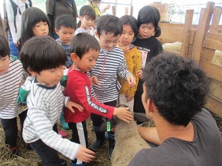 IMG_3764.jpg