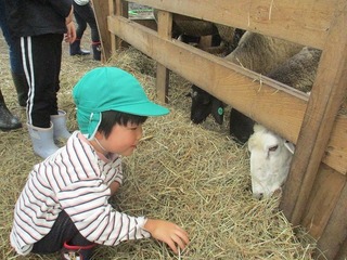 IMG_3778.jpg