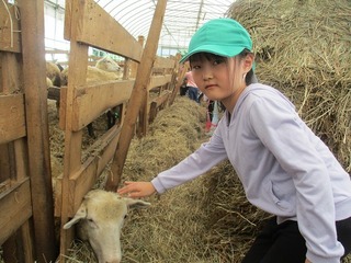 IMG_3779.jpg