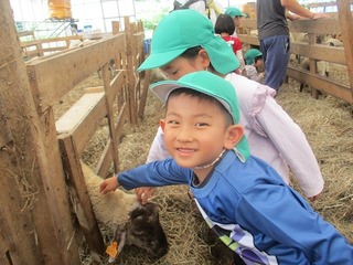 IMG_3785.jpg
