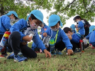 IMG_3945.jpg