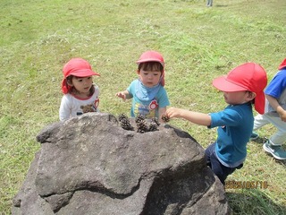 IMG_5453.jpg