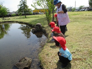 IMG_5455.jpg