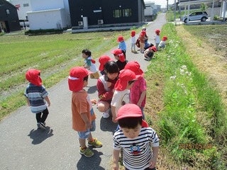 IMG_5599.jpg
