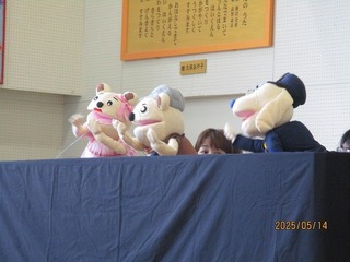 IMG_5682.jpg