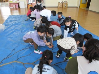 IMG_6591.jpg