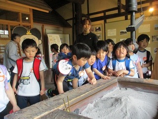 IMG_7342.jpg