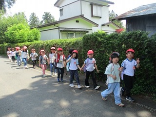IMG_7362.jpg