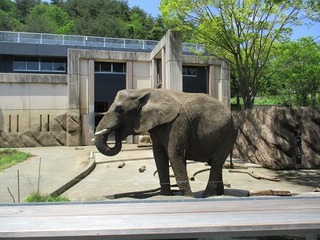 IMG_7468.jpg