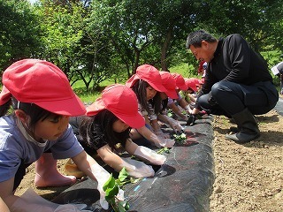 IMG_7606.jpg