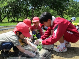IMG_7611.jpg