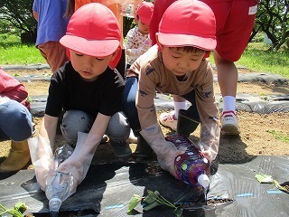 IMG_7618.jpg