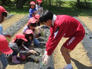 IMG_7626.jpg