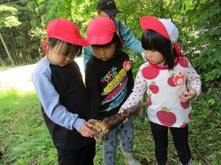 IMG_7773.jpg