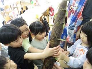 IMG_7872.jpg