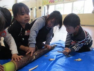 IMG_7887.jpg