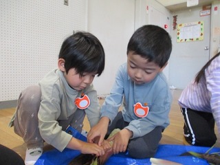 IMG_7892.jpg