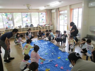 IMG_8229.jpg
