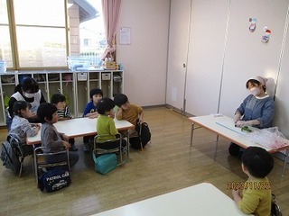 IMG_8378.jpg