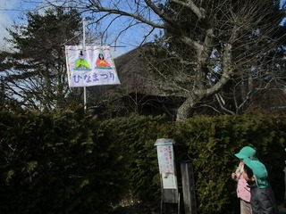 IMG_8492.jpg