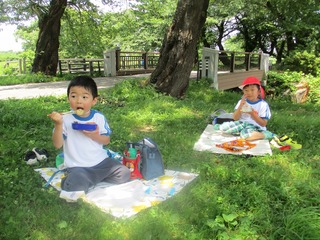 IMG_8540.jpg