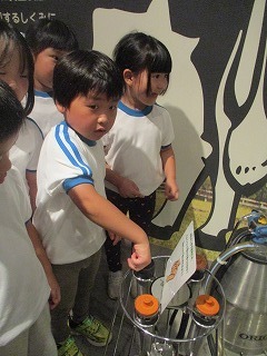 IMG_8761.jpg