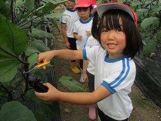 IMG_8787.jpg