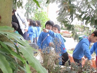 IMG_8926.jpg