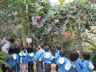 IMG_8935.jpg