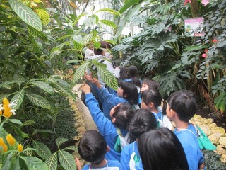 IMG_8941.jpg