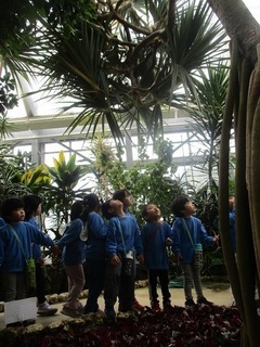 IMG_8961.jpg