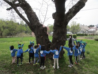 IMG_9038.jpg
