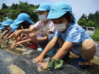 IMG_9247.jpg