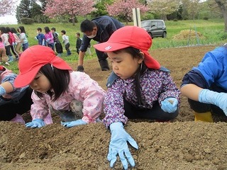 IMG_9285.jpg