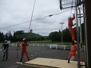 IMG_9972.jpg
