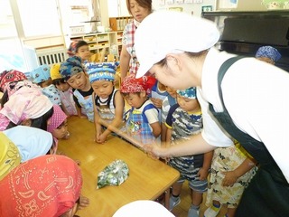 P1020145.jpg