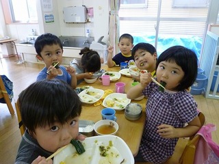 P1020176.jpg