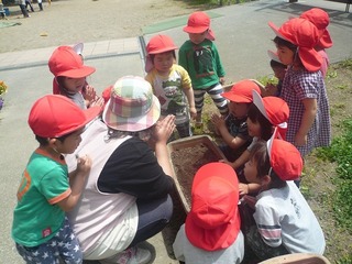P1060787.jpg