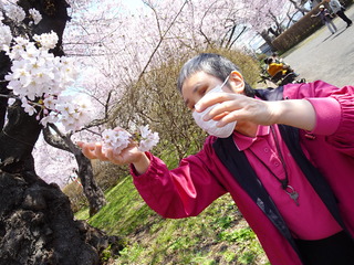 DSC07451.JPG