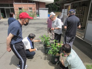 IMG_0083.JPG